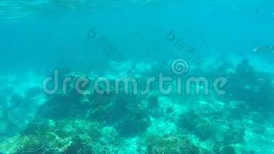 运动女孩潜水水下。 的年轻女子在蓝色的水晶<strong>清</strong>水中游泳。 <strong>高清</strong>。 西米兰，泰国。